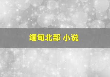 缅甸北部 小说